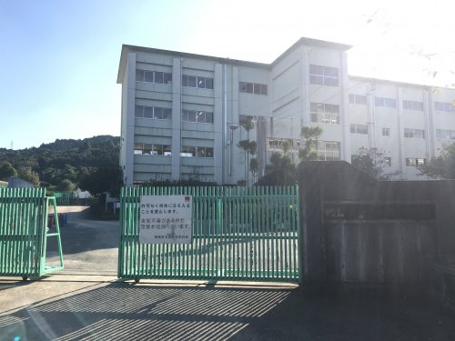 の画像