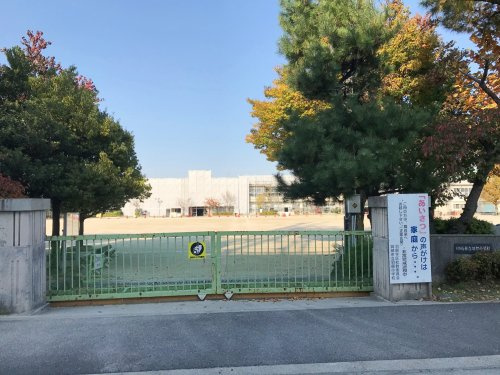 の画像