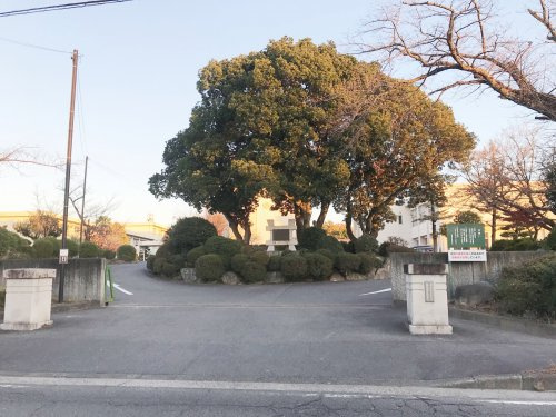 の画像