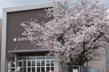 桑山中学校