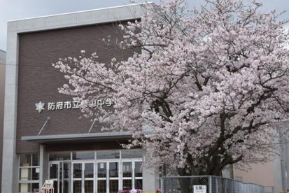 桑山中学校の画像1