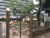 子鹿幼稚園