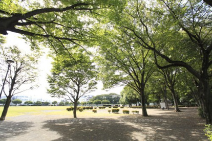 美ノ宮公園の画像1