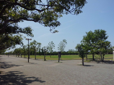 遠州灘海浜公園　中田島北地区の画像1