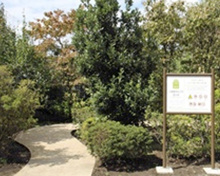 公園 上祖師谷五丁目花の木市民緑地