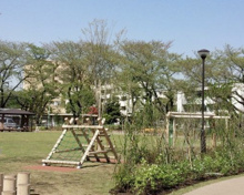 公園 上用賀三丁目公園