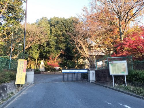 の画像