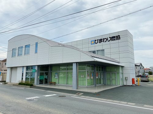 の画像
