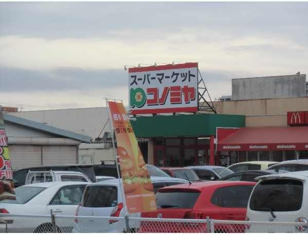 の画像
