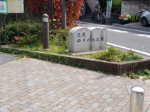 志茂ゆりの木公園