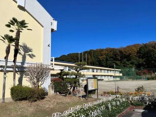 の画像