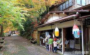 加茂山公園の画像2