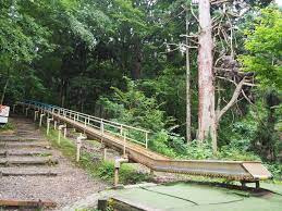 加茂山公園の画像4