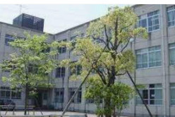 京都市立洛水中学校の画像1