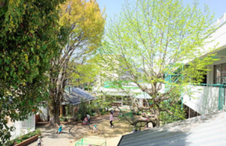 むくどり風の森保育園の画像