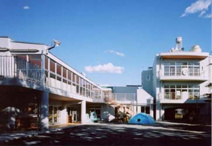 林間のぞみ幼稚園