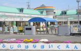 厚木ふじの花保育園