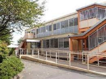 ぽっぽの森保育園