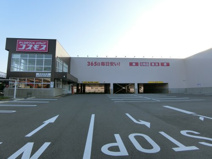 コスモス　和泉和気店