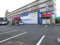 じゃんぼ食鮮館