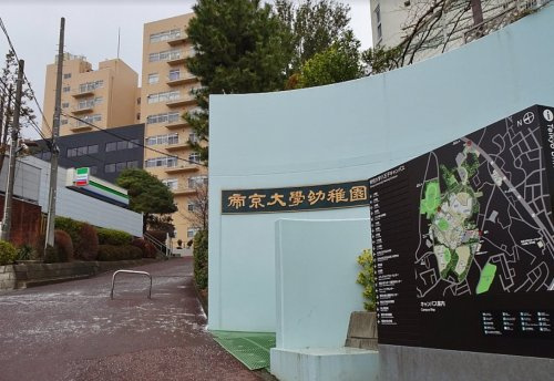 帝京大学幼稚園の画像