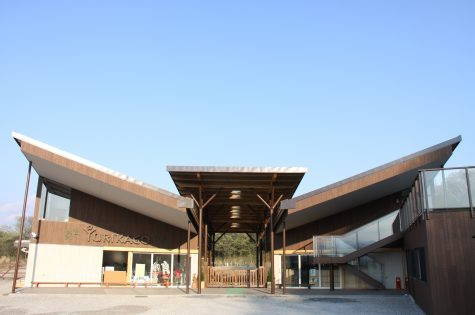 東京ゆりかご幼稚園の画像