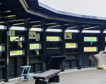 東観察広場の画像1