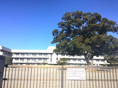 新磯小学校の画像
