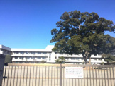 新磯小学校