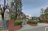 大沢小学校