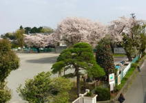 栗原小学校