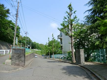 薬師中学校の画像