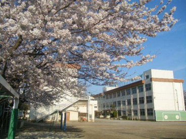 第二小学校の画像1