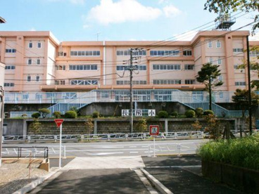 長房小学校の画像1
