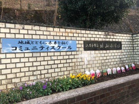 城山小学校の画像