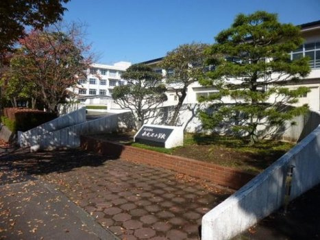 南大沢小学校の画像