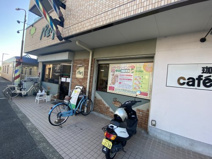 カットハウスパセリ