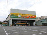 ジャパン 泉大津店