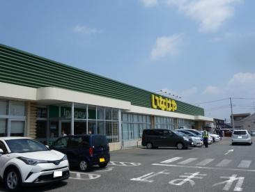 いなげや厚木三田店の画像
