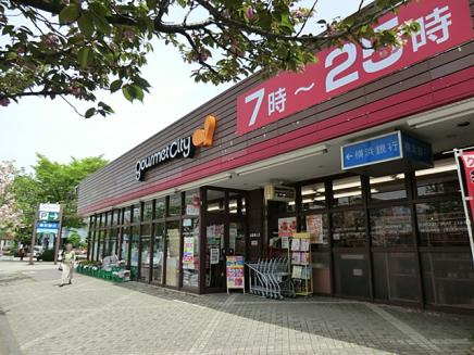 グルメシティ鶴川緑山店の画像