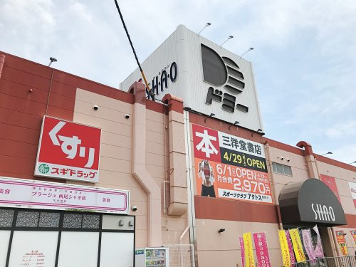 の画像