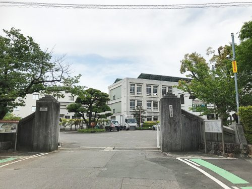 の画像