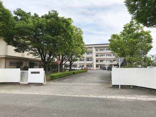 の画像