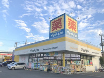 マツモトキヨシ厚木林店