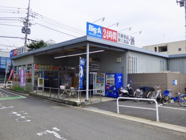 ビッグ・エーさいたま上落合店の画像1