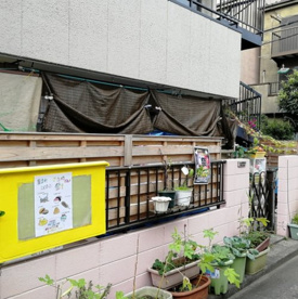 こぐま保育園の画像1