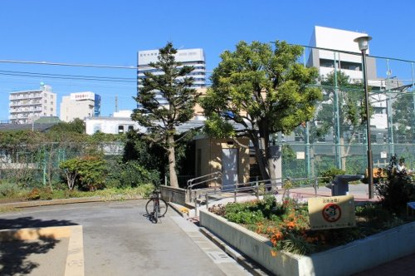 旗の台北公園の画像1