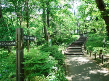 林試の森公園の画像1