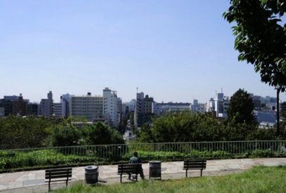 西郷山公園の画像1