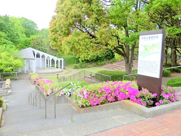 若宮公園の画像1